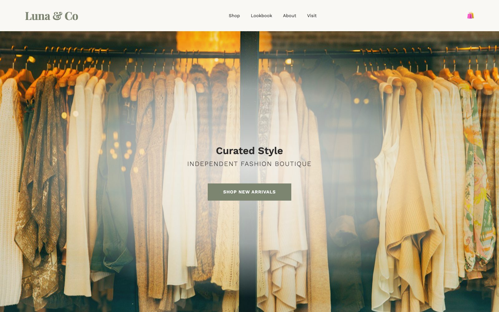 Boutique fashion website template for Luna & Co showing a rail of hanging clothes